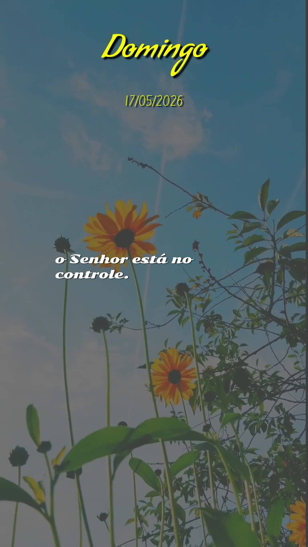 Meu bom dia especial neste domingo é para você, pessoa querida que Deus colocou no meu coração. Hoje, dia 17 de maio de 2026, dia do Senhor, eu paro ...