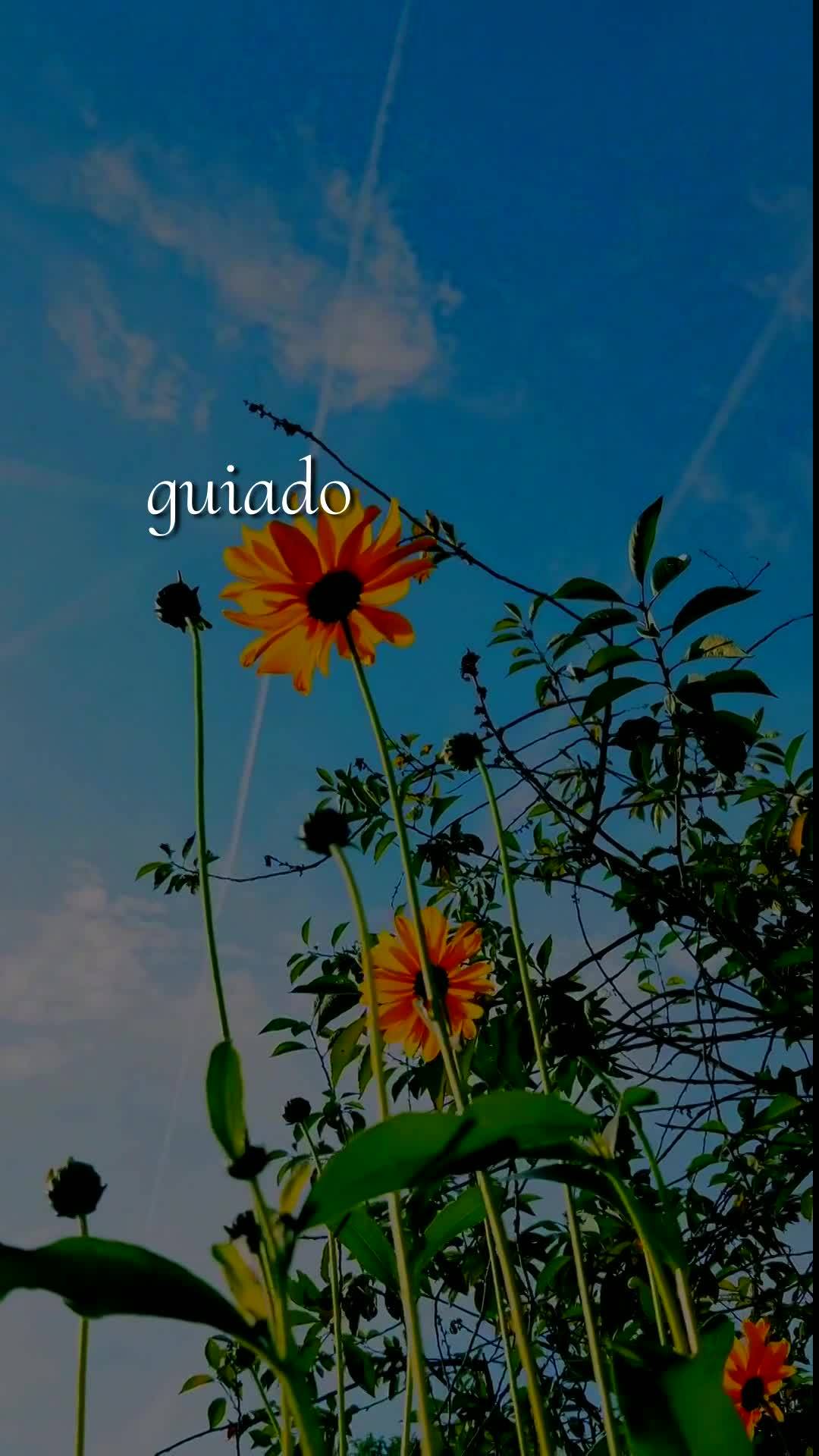 Bom dia! Hoje é Segunda-feira, 18 de Maio de 2026, e eu quero deixar uma bênção especial para você que está começando esta nova semana. Que não t...