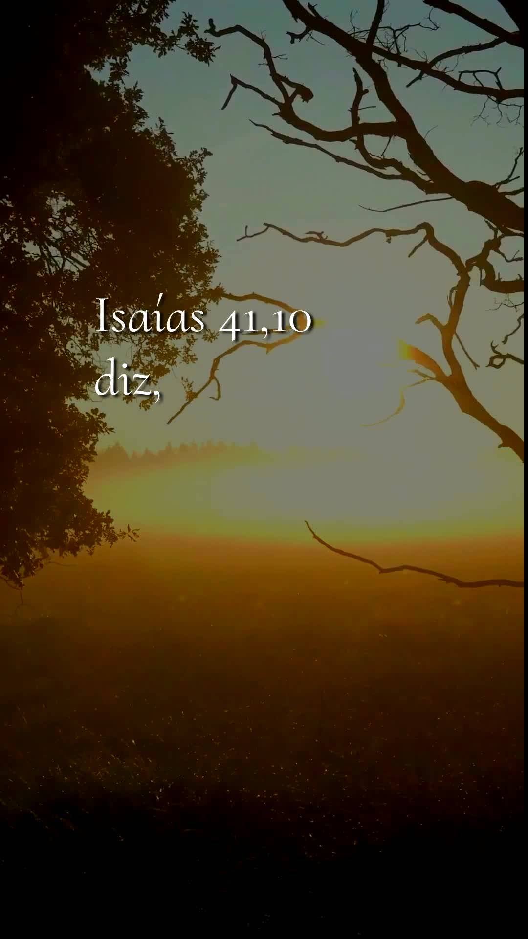 Deus, hoje é terça-feira, meu Pai, dia dezenove de Maio de dois mil e vinte e seis, e antes que o sol tome conta do céu, eu paro para te dizer: bom di...
