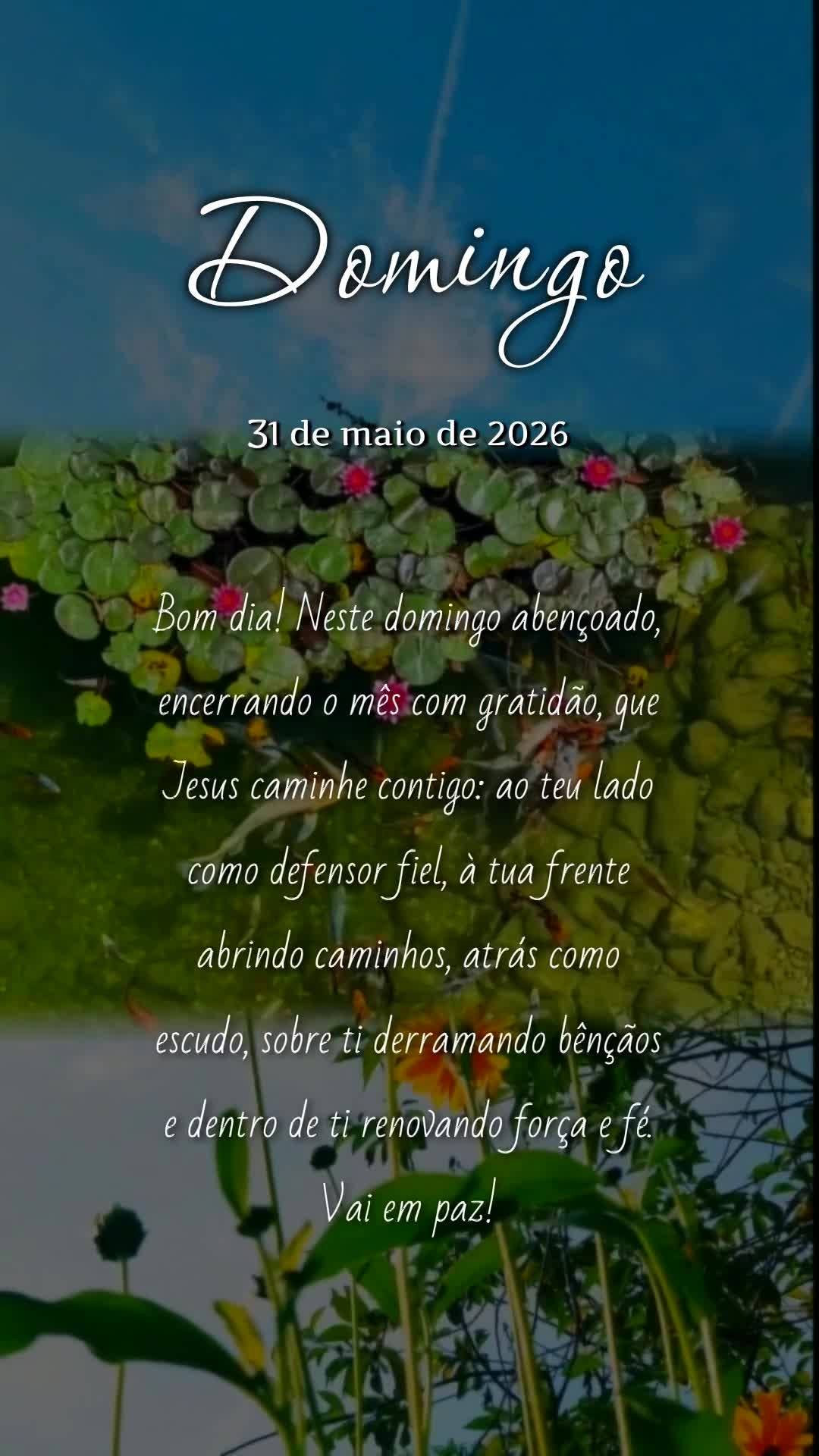 Bom dia! Neste domingo abençoado, encerrando o mês com gratidão, que Jesus caminhe contigo: ao teu lado como defensor fiel, à tua frente abrindo cami...