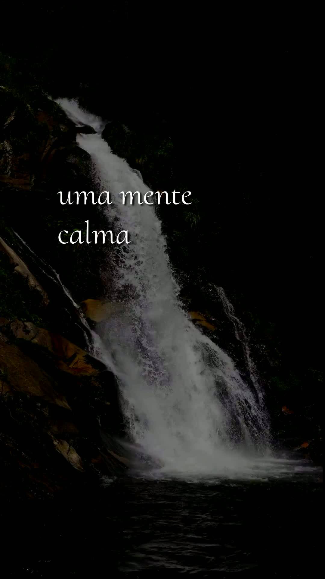 Bom dia, Jesus, meu Mestre e Senhor. Neste Domingo, 14 de Junho de 2026, mais uma manhã começa, e a Ti ofereço todas as minhas ações deste dia de de...