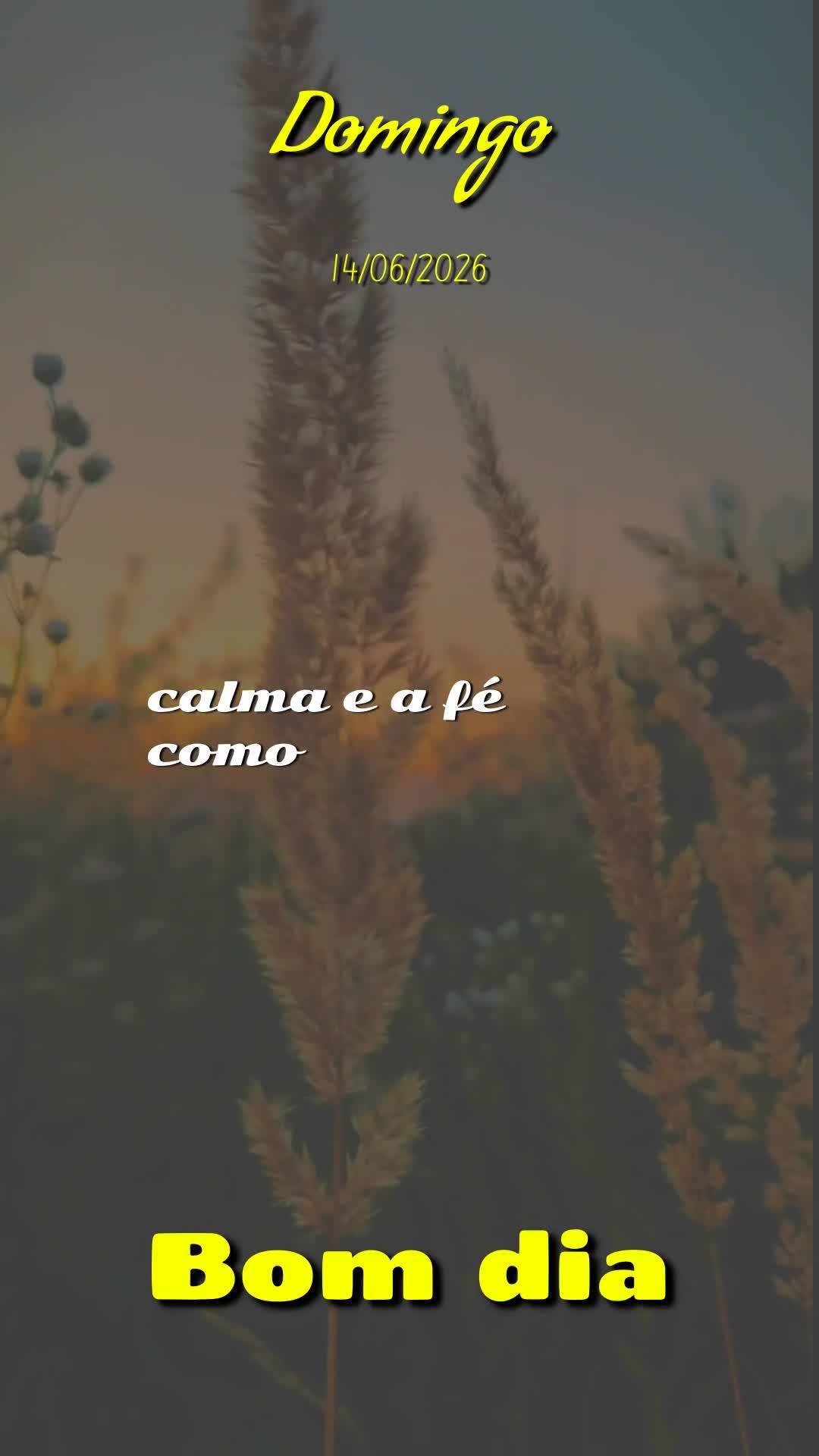 Bom dia, Jesus, meu Mestre e Senhor. Neste Domingo, 14 de Junho de 2026, mais uma manhã começa, e eu Te ofereço todas as minhas ações deste dia de d...