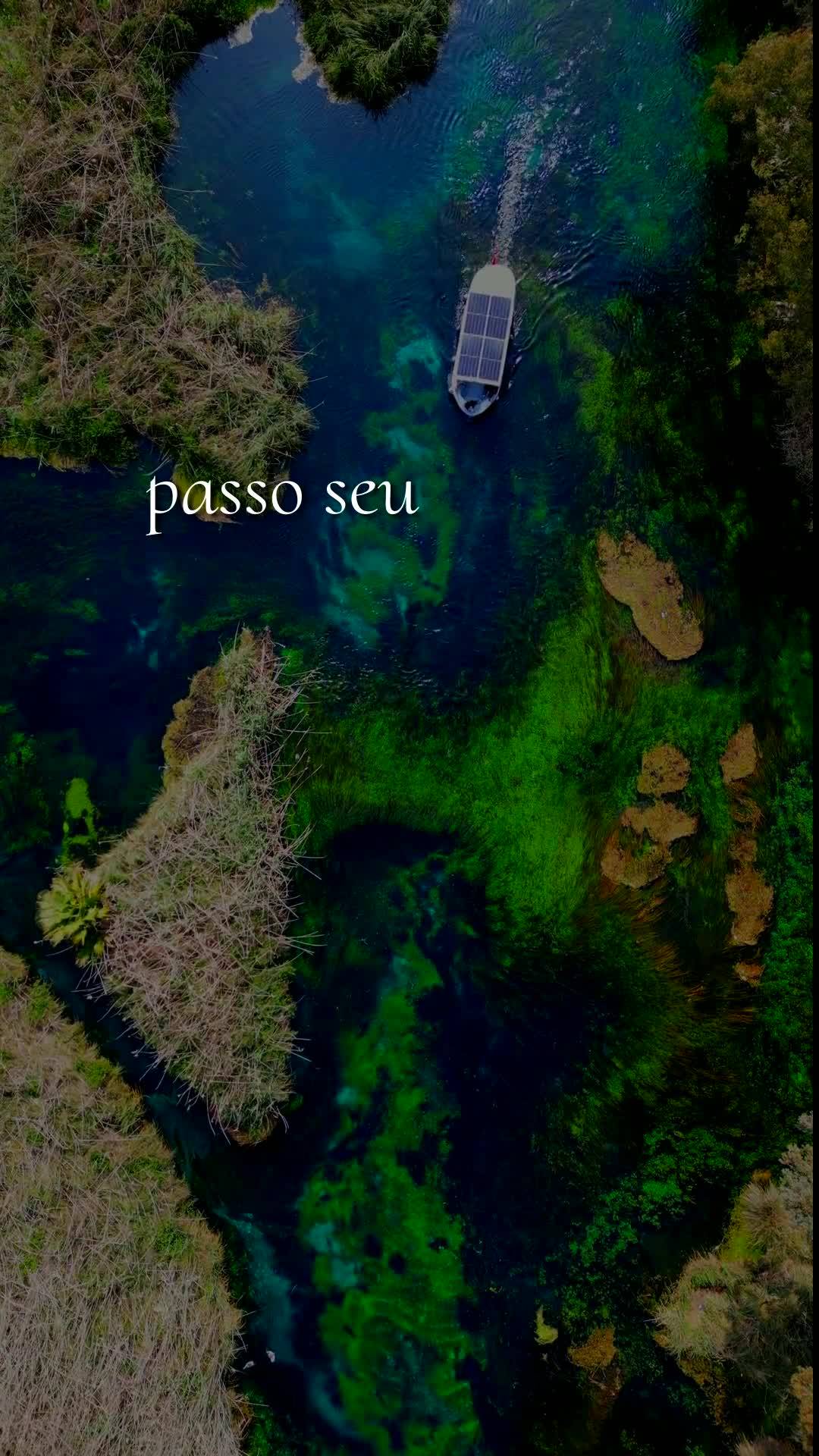 Bom dia! Nesta Segunda-feira, 15 de Junho de 2026, que Deus abençoe a sua semana e renove as suas forças. Que não lhe falte ânimo para começar, nem ...