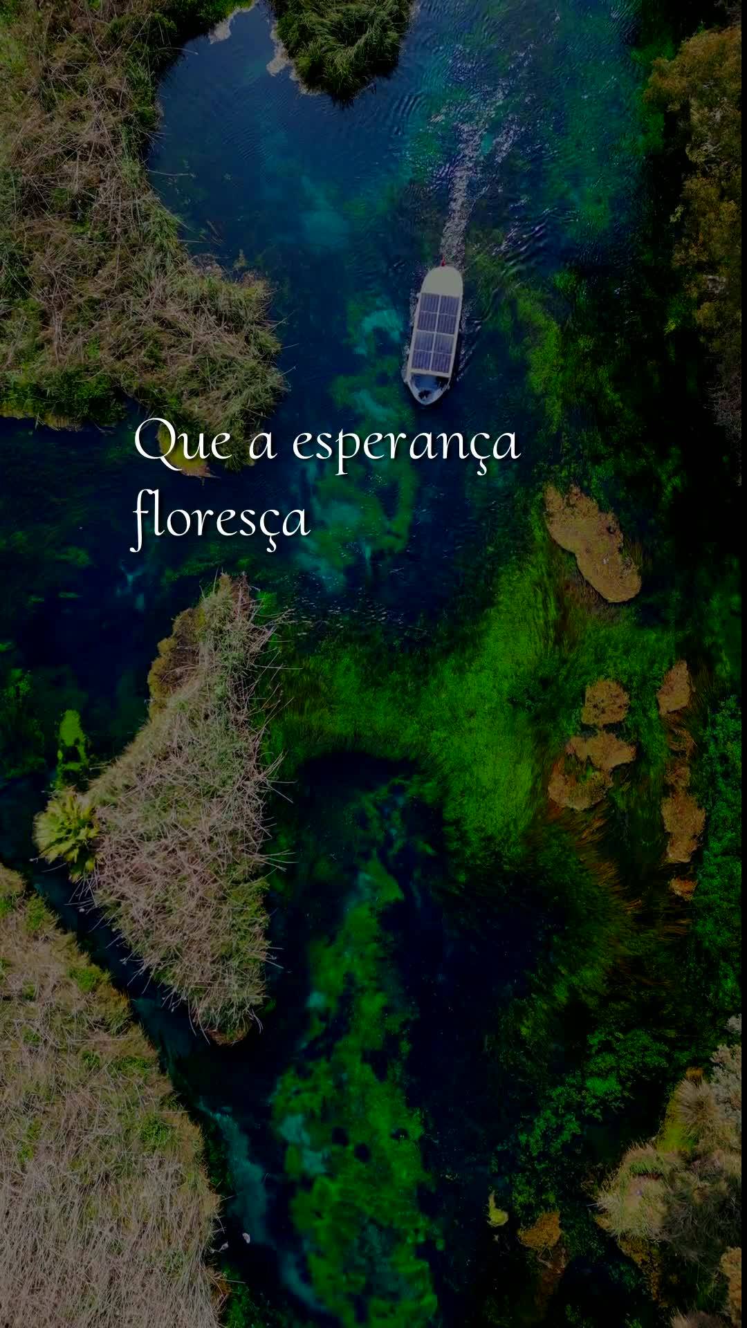 Bom dia! Nesta terça-feira, 23 de Junho de 2026, que o céu se abra sobre a sua vida e derrame bênçãos sem medida. Que cada passo seu seja guiado pel...