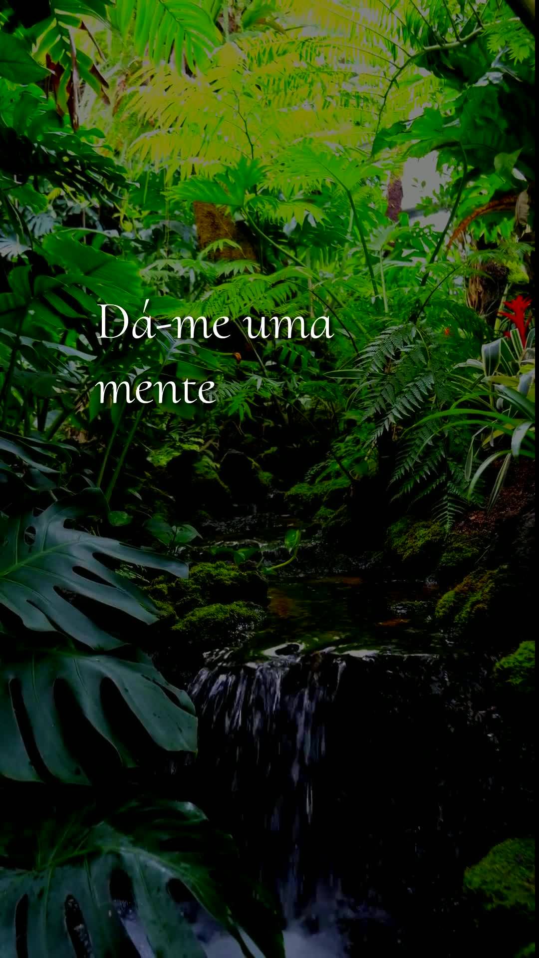 Bom dia, Jesus, meu Mestre e Senhor. Mais uma manhã começa, nesta quarta-feira, 24 de Junho de 2026, e eu Te ofereço todas as minhas ações deste dia...