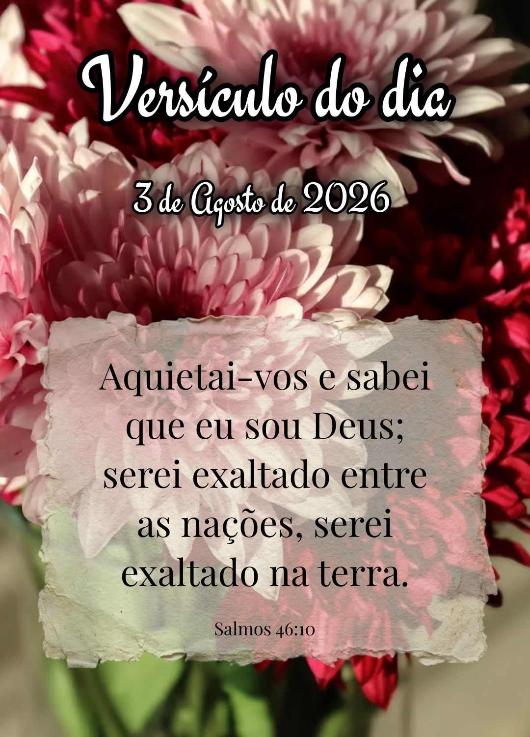 Aquietai-vos e sabei que eu sou Deus; serei exaltado entre as nações, serei exaltado na terra. Versículo do dia Salmos 46:10