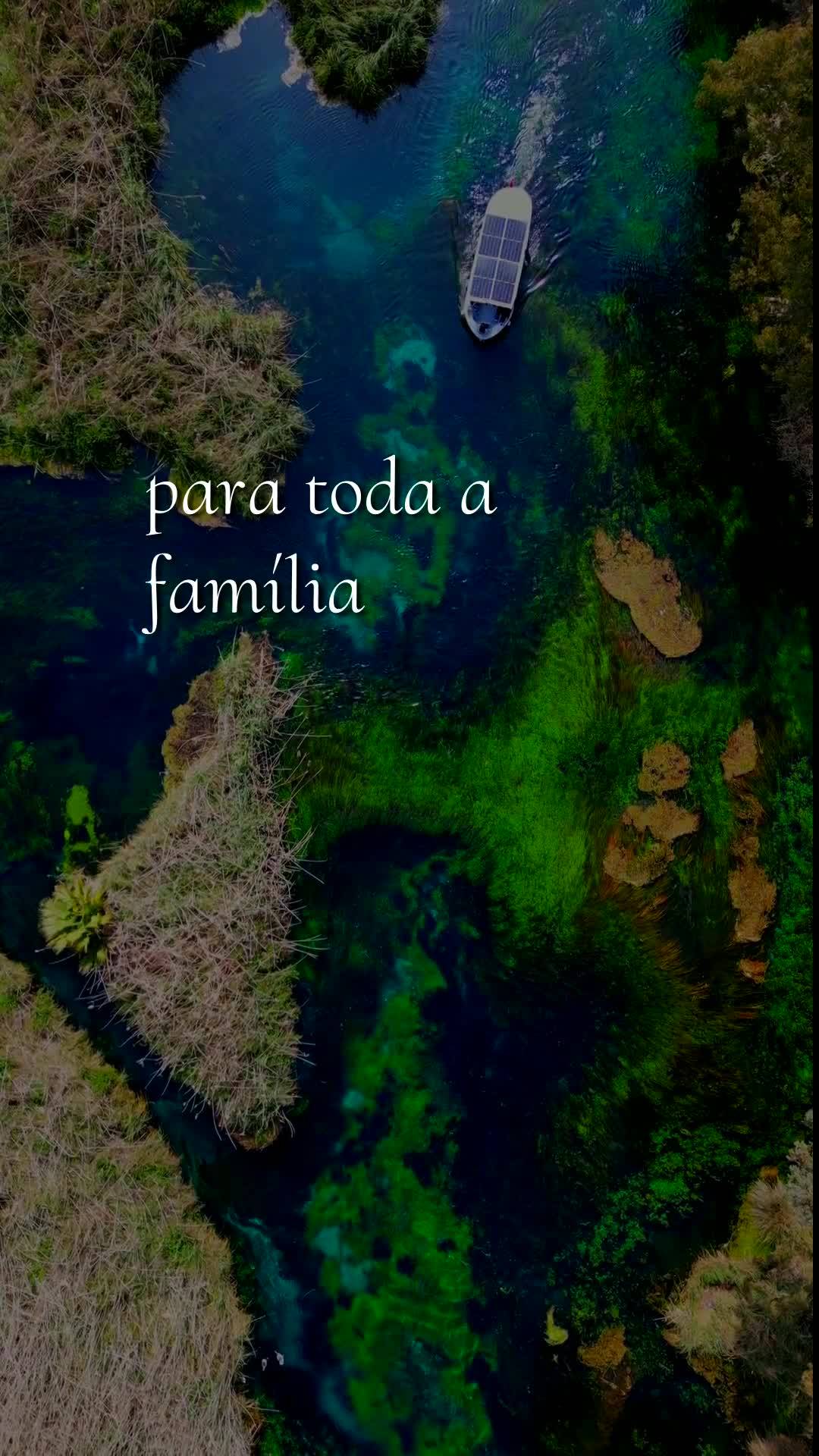 Meu bom dia especial nesta segunda-feira, 3 de agosto de 2026, é para você, pessoa querida. Que Deus te abençoe, te guarde e te guie neste começo de ...