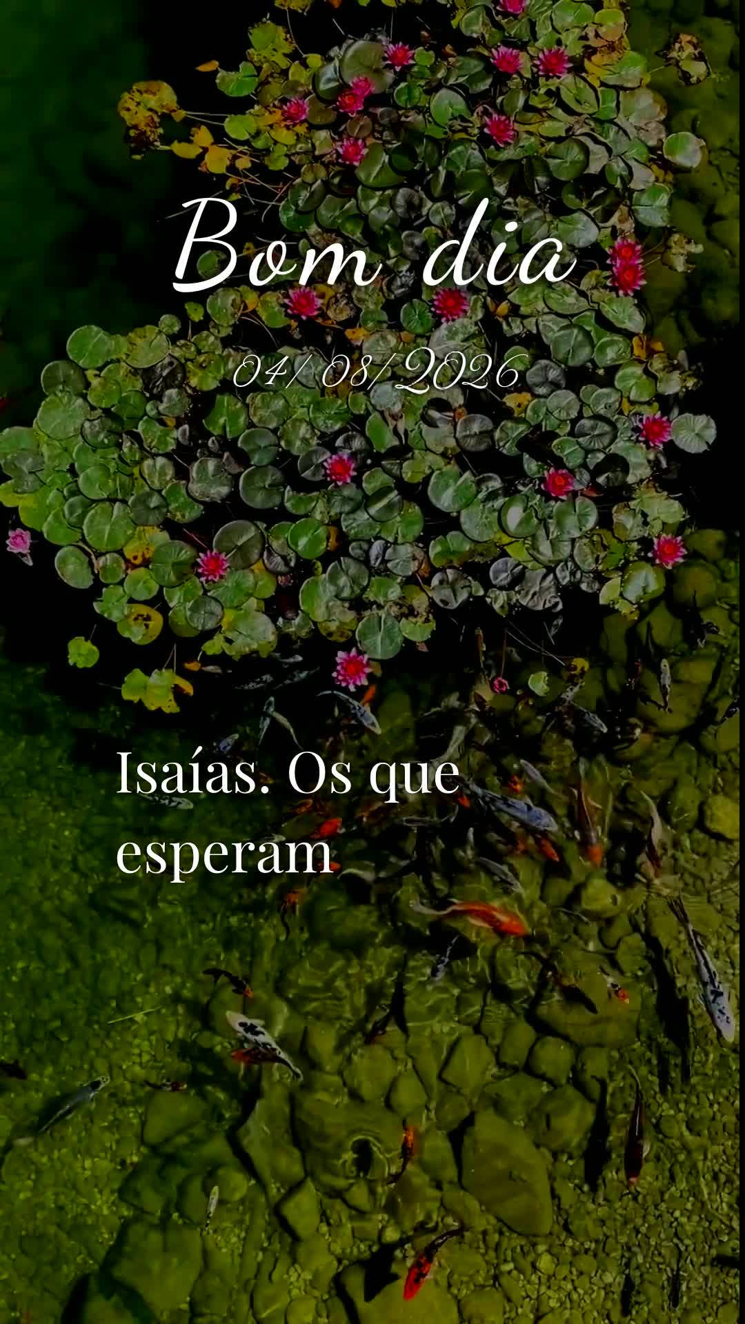 Deus, hoje é terça-feira, meu Pai, dia quatro de agosto de dois mil e vinte e seis, e antes que este dia avance eu paro para te dizer bom dia e obrigad...