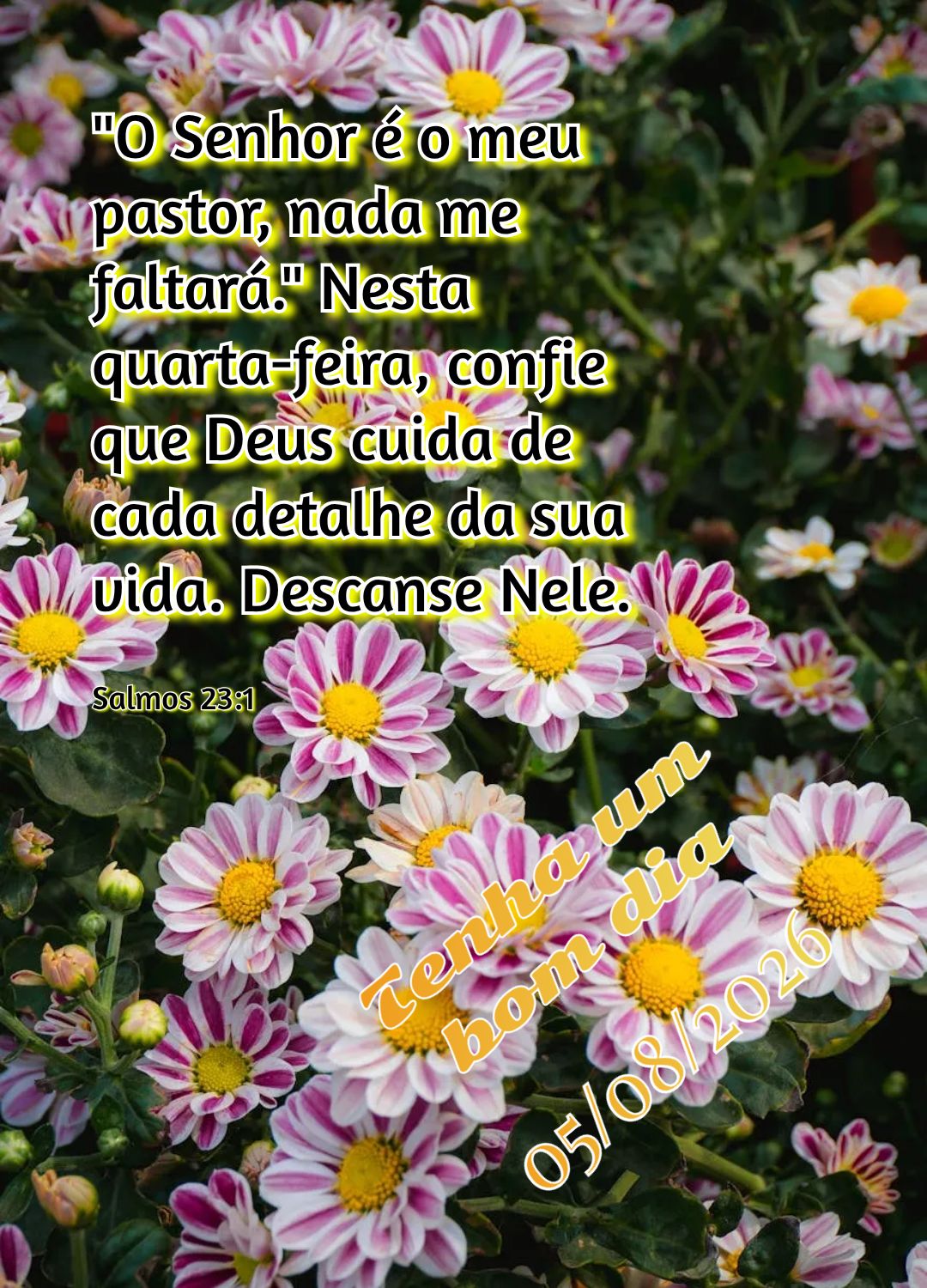 "O Senhor é o meu pastor, nada me faltará." Nesta quarta-feira, confie que Deus cuida de cada detalhe da sua vida. Descanse Nele. Tenha um bom dia Salm...
