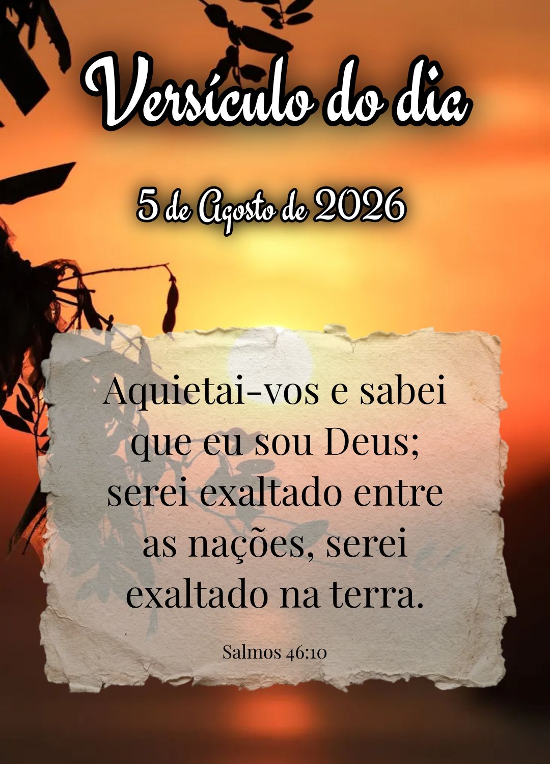 Aquietai-vos e sabei que eu sou Deus; serei exaltado entre as nações, serei exaltado na terra. Versículo do dia Salmos 46:10
