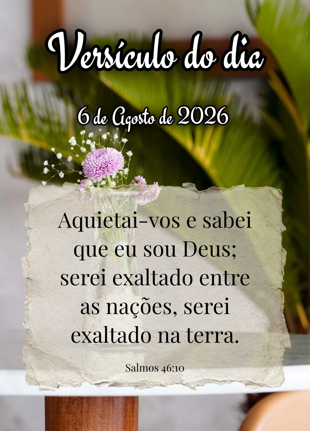 Aquietai-vos e sabei que eu sou Deus; serei exaltado entre as nações, serei exaltado na terra. Versículo do dia Salmos 46:10
