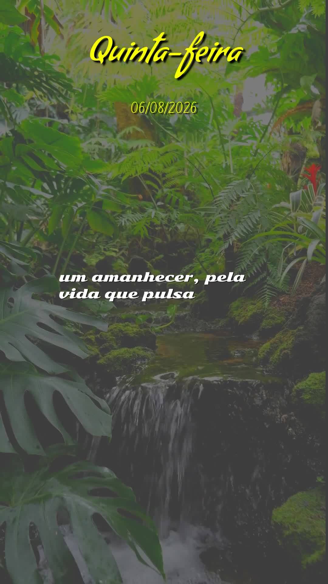Deus, hoje é quinta-feira, meu pai, dia seis de agosto de dois mil e vinte e seis, e antes que este dia avance eu paro para te agradecer. Bom dia, Senho...