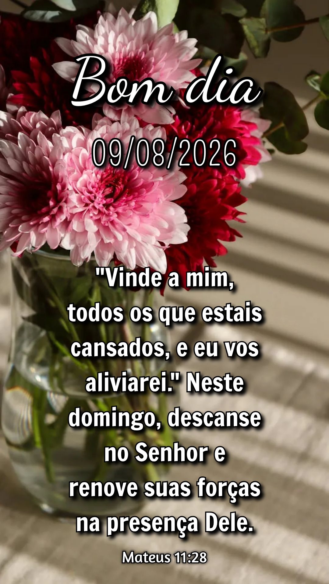 "Vinde a mim, todos os que estais cansados, e eu vos aliviarei." Neste domingo, descanse no Senhor e renove suas forças na presença Dele. Mateus 11:28...