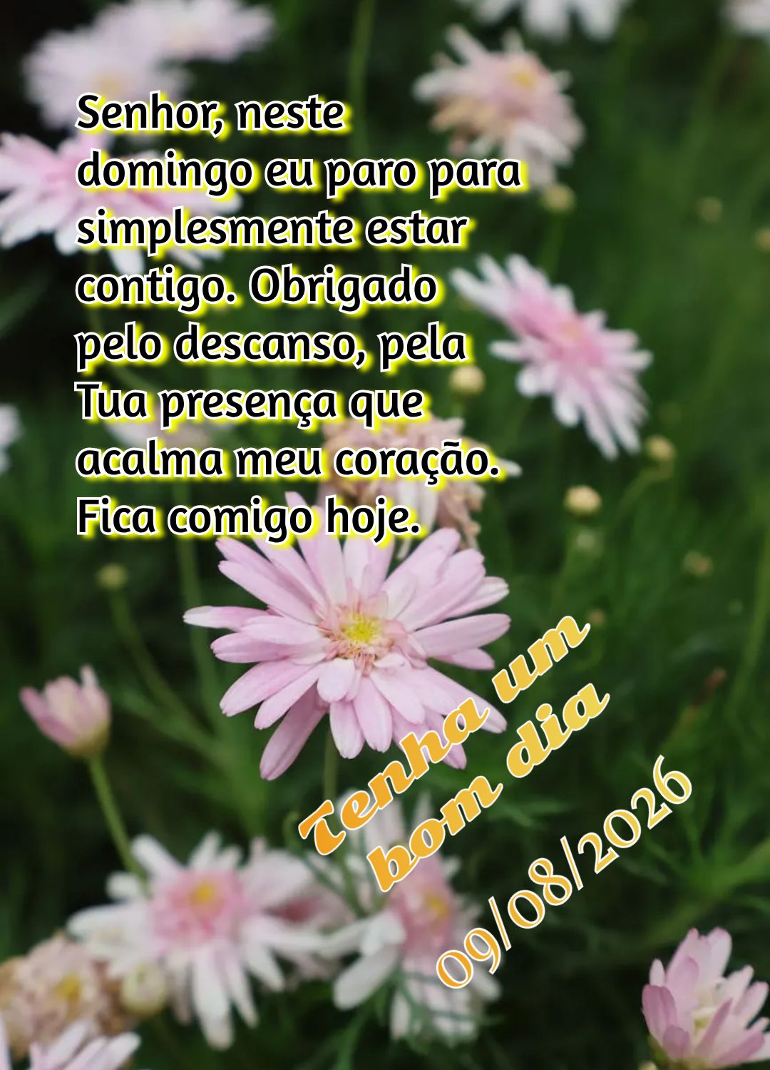 Senhor, neste domingo eu paro para simplesmente estar contigo. Obrigado pelo descanso, pela Tua presença que acalma meu coração. Fica comigo hoje. Ten...