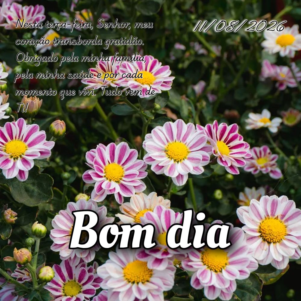 Nesta terça-feira, Senhor, meu coração transborda gratidão. Obrigado pela minha família, pela minha saúde e por cada momento que vivi. Tudo vem de ...