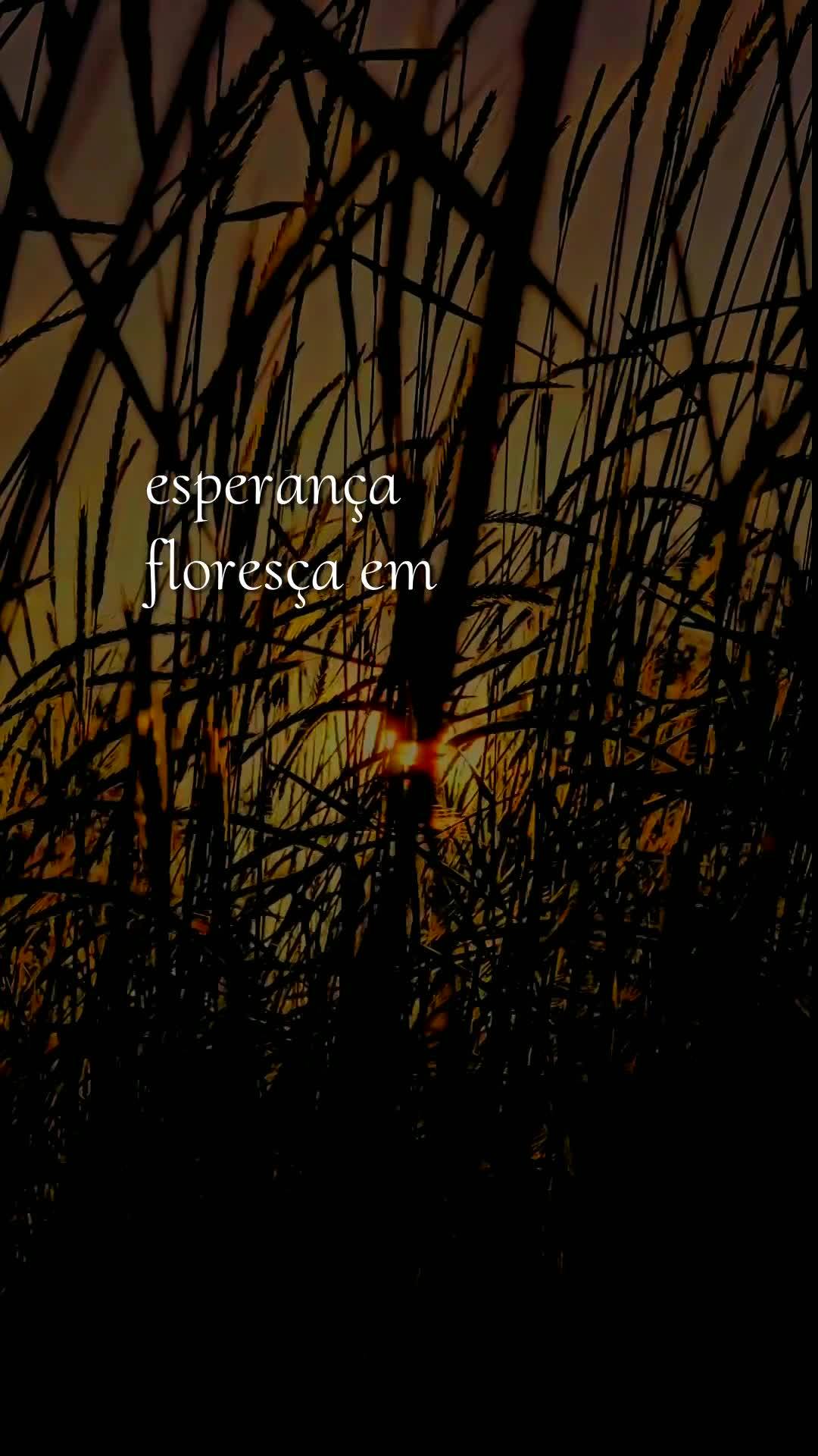 Bom dia! Nesta terça-feira, onze de agosto de dois mil e vinte e seis, que o céu se abra sobre a sua vida e derrame bênçãos sem medida. Que cada pas...