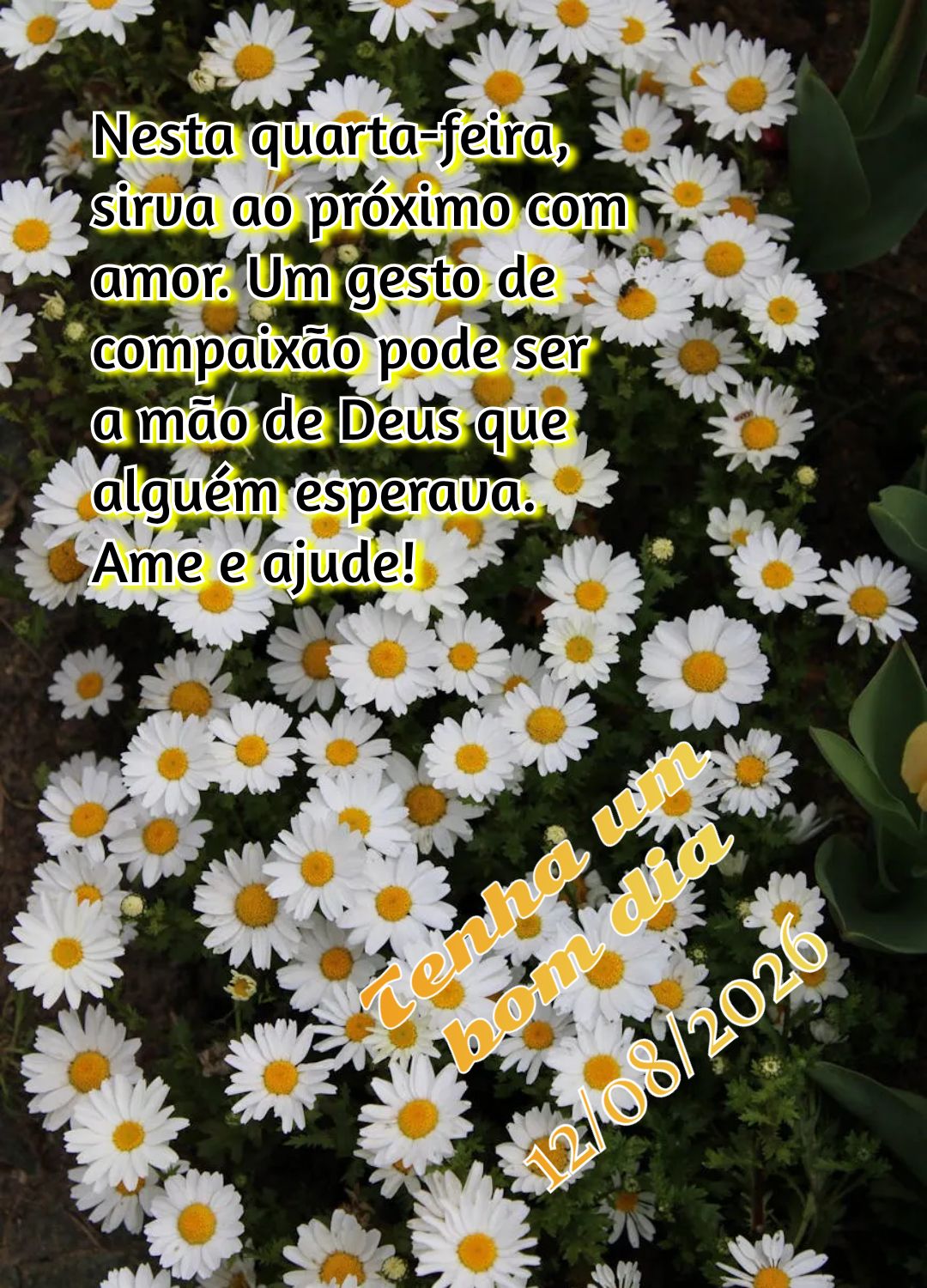 Nesta quarta-feira, sirva ao próximo com amor. Um gesto de compaixão pode ser a mão de Deus que alguém esperava. Ame e ajude! Tenha um bom dia