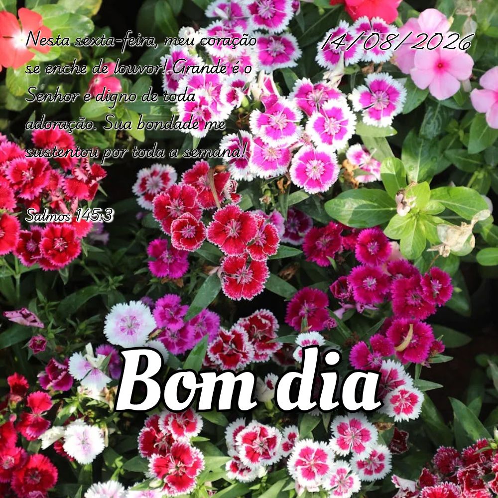 Nesta sexta-feira, meu coração se enche de louvor! Grande é o Senhor e digno de toda adoração. Sua bondade me sustentou por toda a semana! Salmos 14...