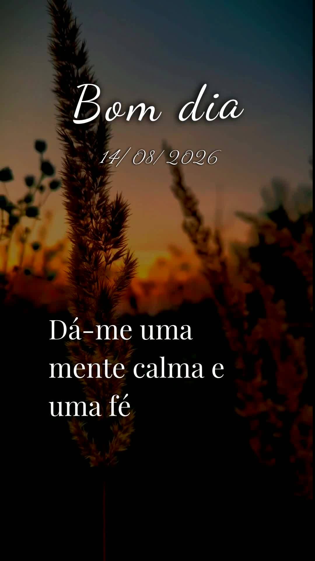 Bom dia, Jesus, meu Mestre e Senhor. Nesta Sexta-feira, 14 de Agosto de 2026, mais uma manhã começa, e eu Te ofereço todas as minhas ações deste dia...