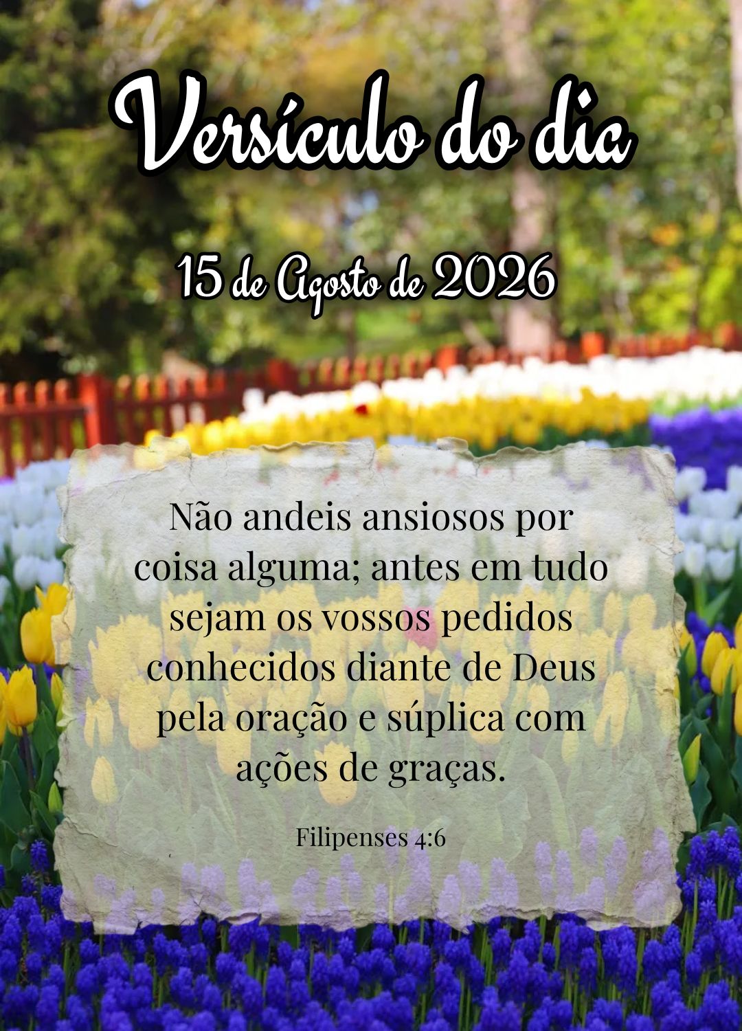 Não andeis ansiosos por coisa alguma; antes em tudo sejam os vossos pedidos conhecidos diante de Deus pela oração e súplica com ações de graças. V...