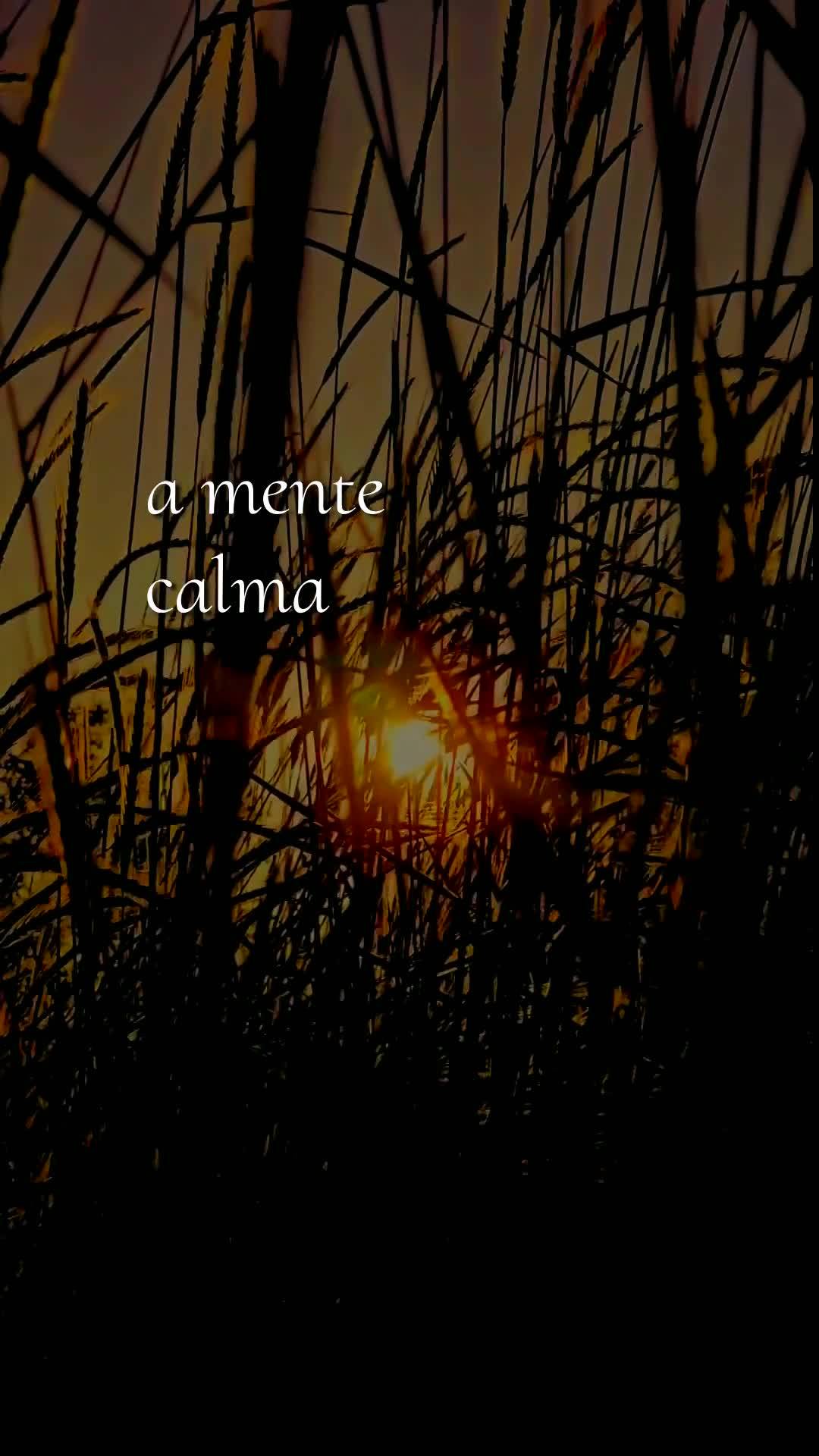 Bom dia, Jesus, meu Mestre e Senhor. Neste Sábado, quinze de Agosto de dois mil e vinte e seis, mais uma manhã começa, e a Ti ofereço todas as minhas...