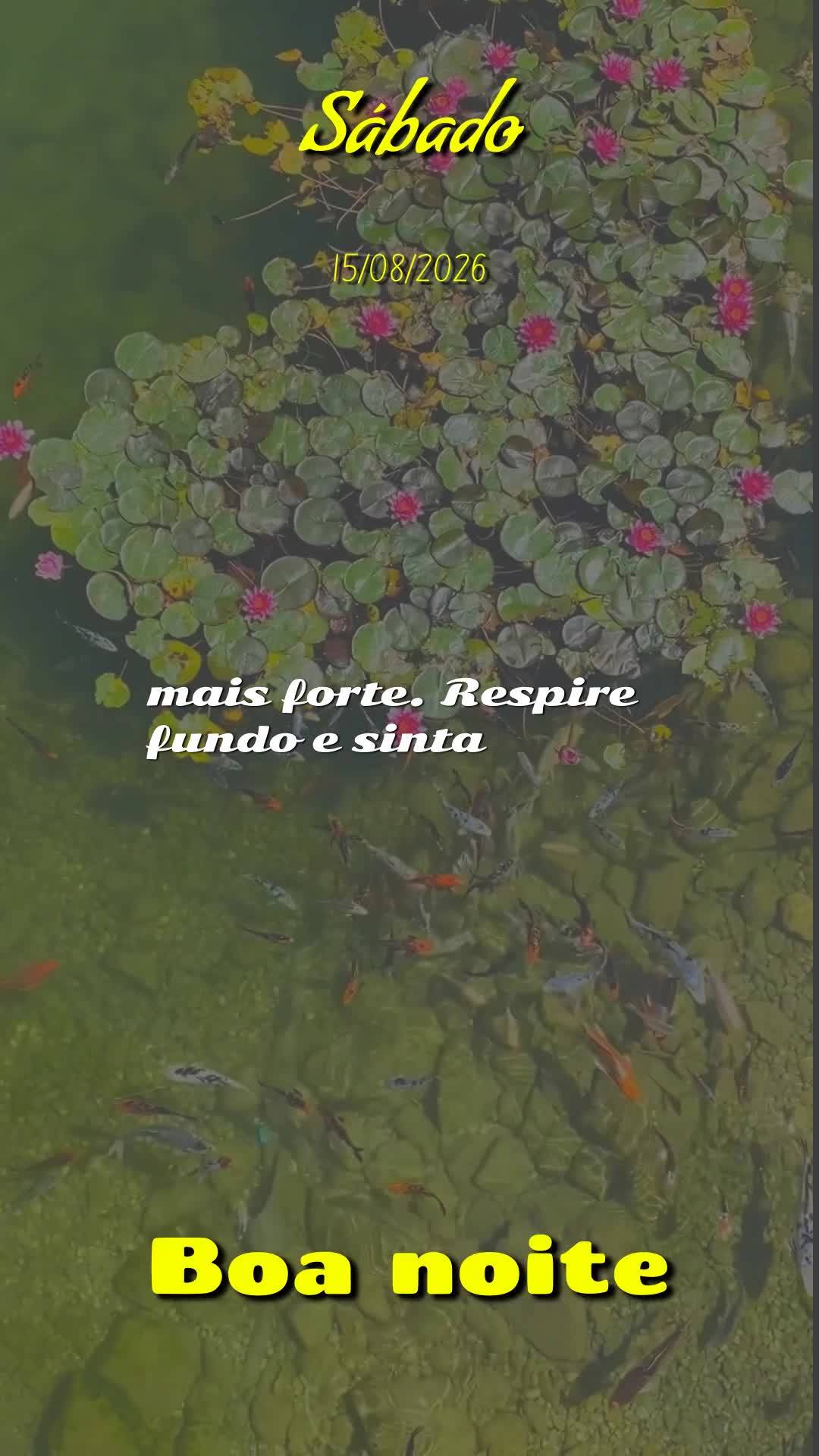 Boa noite. Neste sábado, 15 de Agosto de 2026, quando a noite cai e o dia de descanso chega ao fim, Deus acende as estrelas para lembrar que a esperanç...