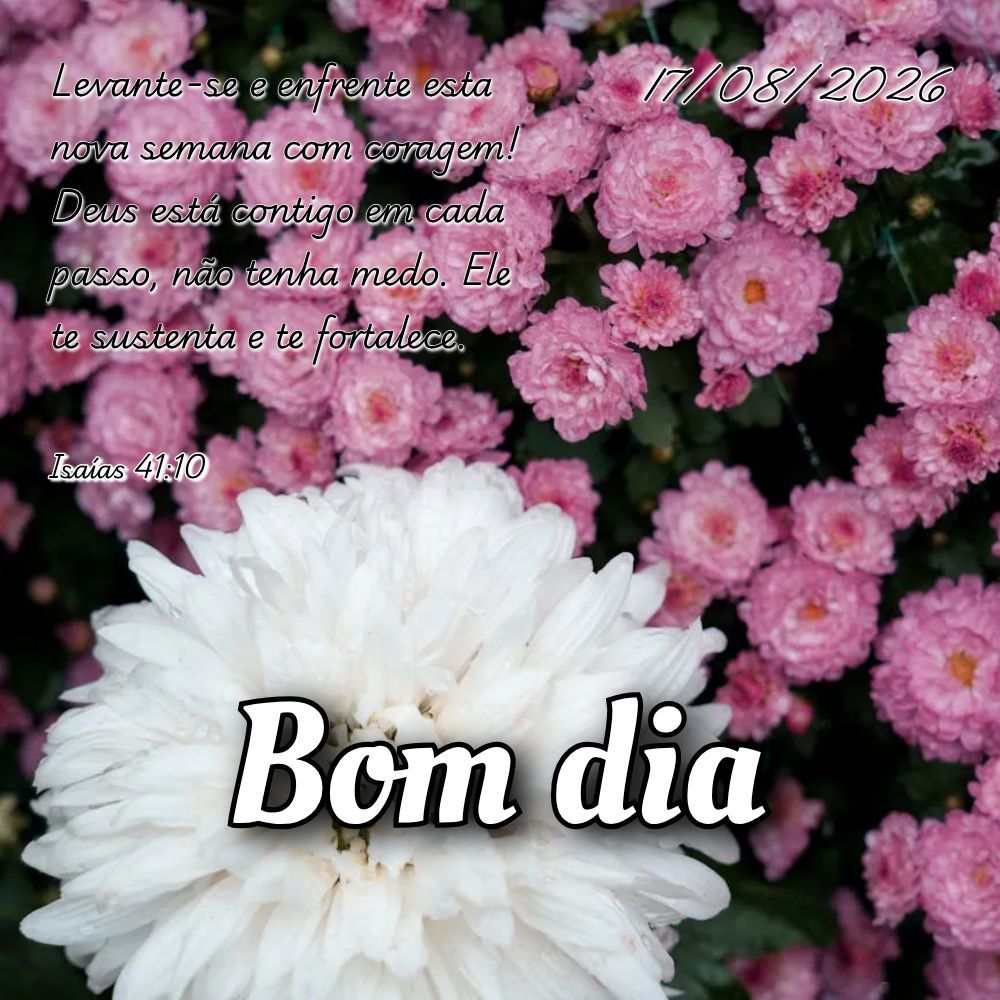 Levante-se e enfrente esta nova semana com coragem! Deus está contigo em cada passo, não tenha medo. Ele te sustenta e te fortalece. Isaías 41:10