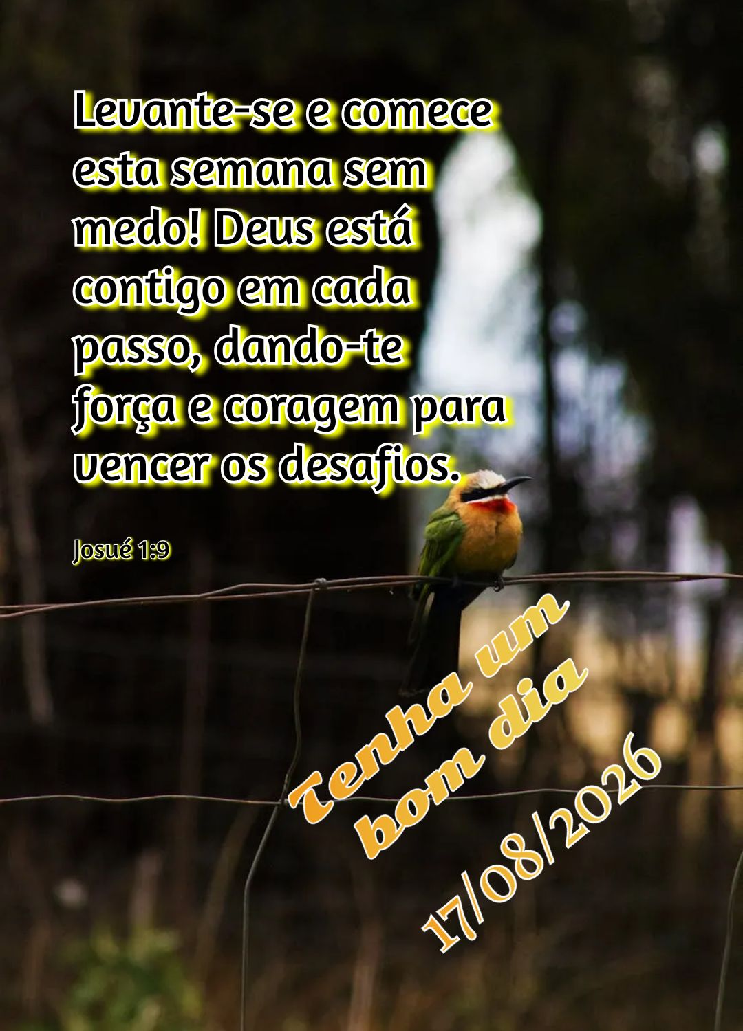 Levante-se e comece esta semana sem medo! Deus está contigo em cada passo, dando-te força e coragem para vencer os desafios. Tenha um bom dia Josué 1:...