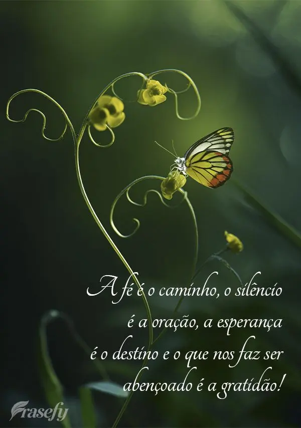 A fé é o caminho, o silêncio é a oração, a esperança é o destino e o que nos faz ser abençoado é a gratidão!