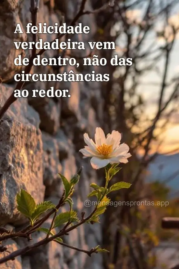A felicidade verdadeira vem de dentro, não das circunstâncias ao redor.