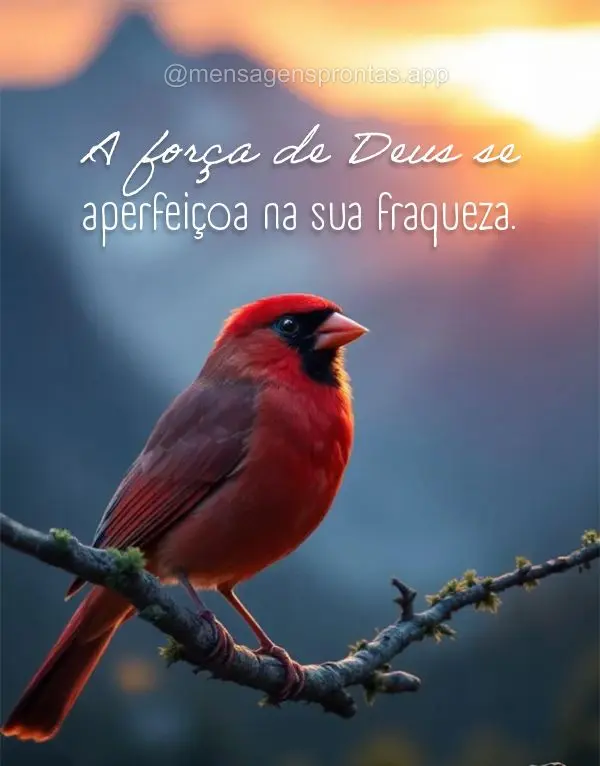 A força de Deus se aperfeiçoa na sua fraqueza.