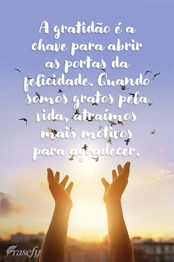 A gratidão é a chave para abrir as portas da felicidade. Quando somos gratos pela vida, atraímos mais motivos para agradecer.