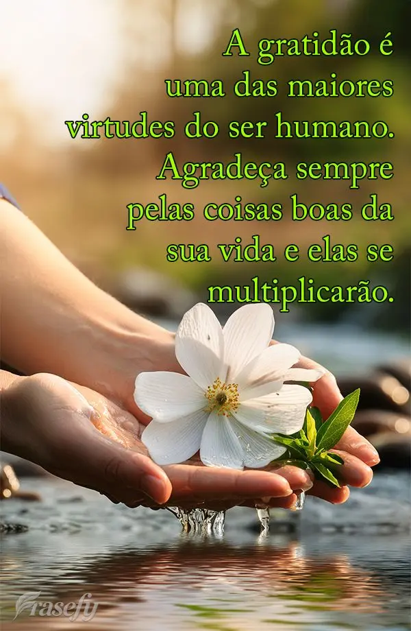 A gratidão é uma das maiores virtudes do ser humano. Agradeça sempre pelas coisas boas da sua vida e elas se multiplicarão."