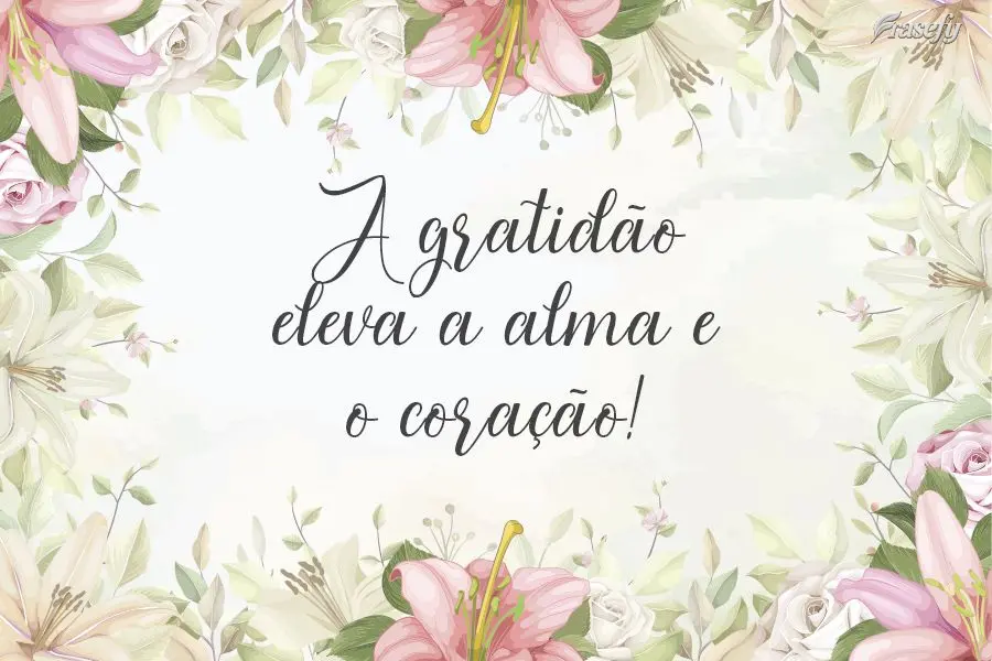A gratidão eleva a alma e o coração!