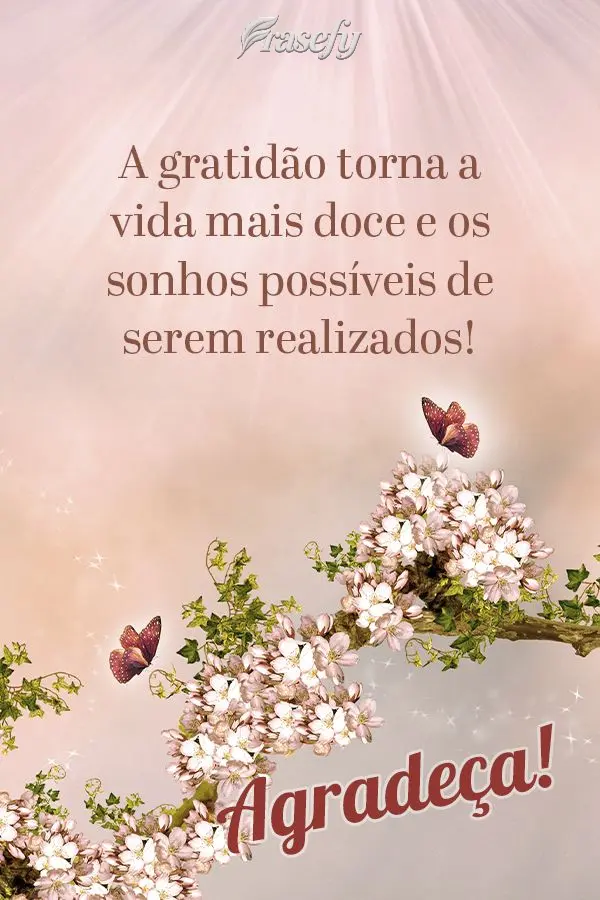 A gratidão torna a vida mais doce e os sonhos possíveis de serem realizados! Agradeça!