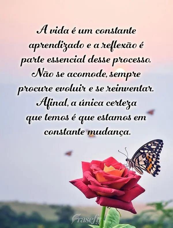 A vida é um constante aprendizado e a reflexão é parte essencial desse processo. Não se acomode, sempre procure evoluir e se reinventar. Afinal, a ú...