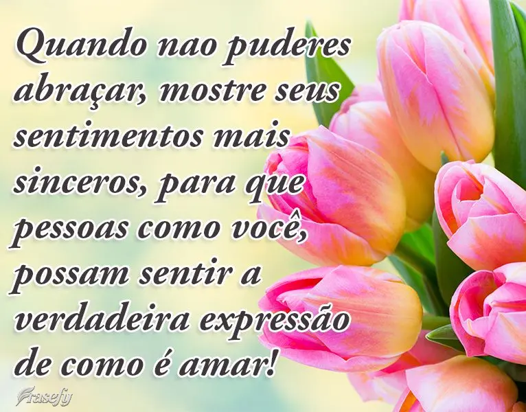 Quando não puderes abraçar, mostre seus sentimentos mais sinceros, para que pessoas como você possam sentir a verdadeira expressão de como é amar!
...