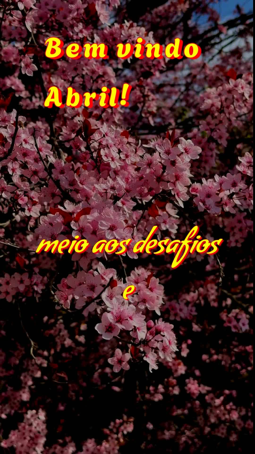 Bem vindo Abril!