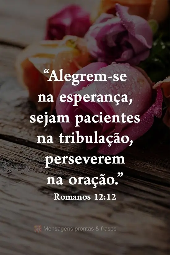 "Alegrem-se na esperança, sejam pacientes na tribulação, perseverem na oração." 
 Romanos 12:12
