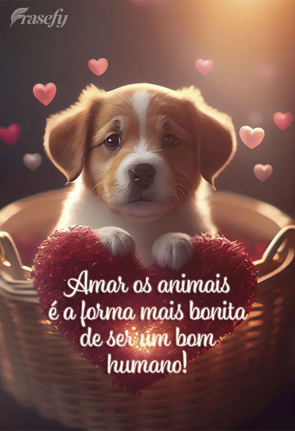 Amar os animais é a forma mais bonita de ser um bom humano!