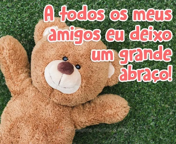 A todos os meus amigos eu deixo um grande abraço!
