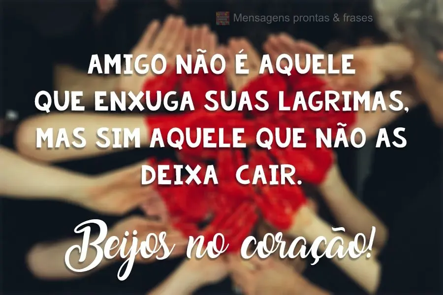 Amigo não é aquele que enxuga suas lágrimas, mas sim aquele que não as deixa  cair. 
 Beijos no coração!