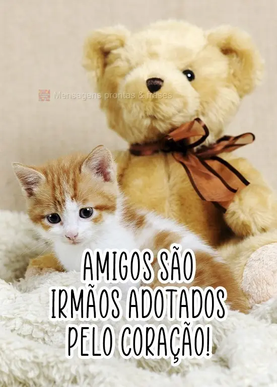 Amigos são irmãos adotados pelo coração!
