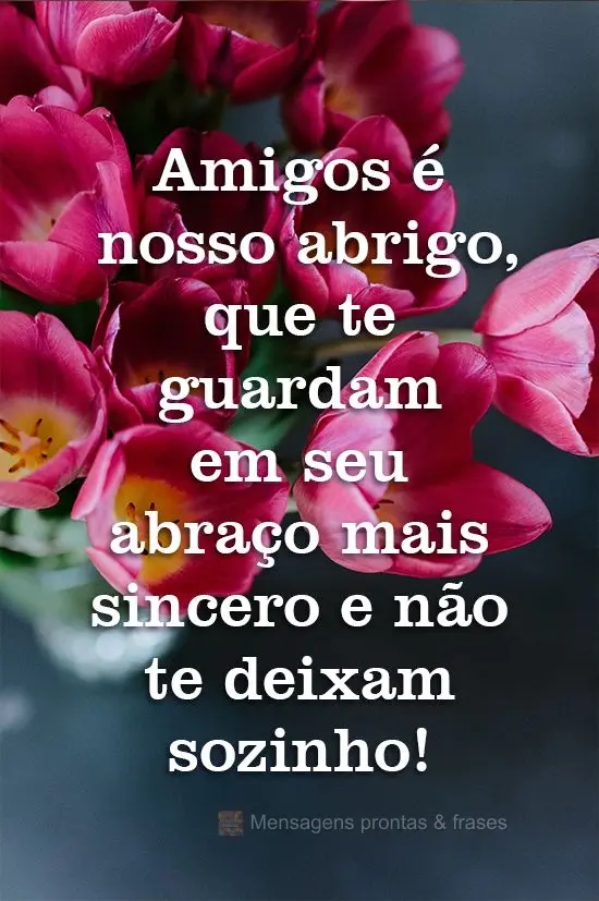 Amigos são nosso abrigo, que te guardam em seu abraço mais sincero e não te deixam sozinho!
