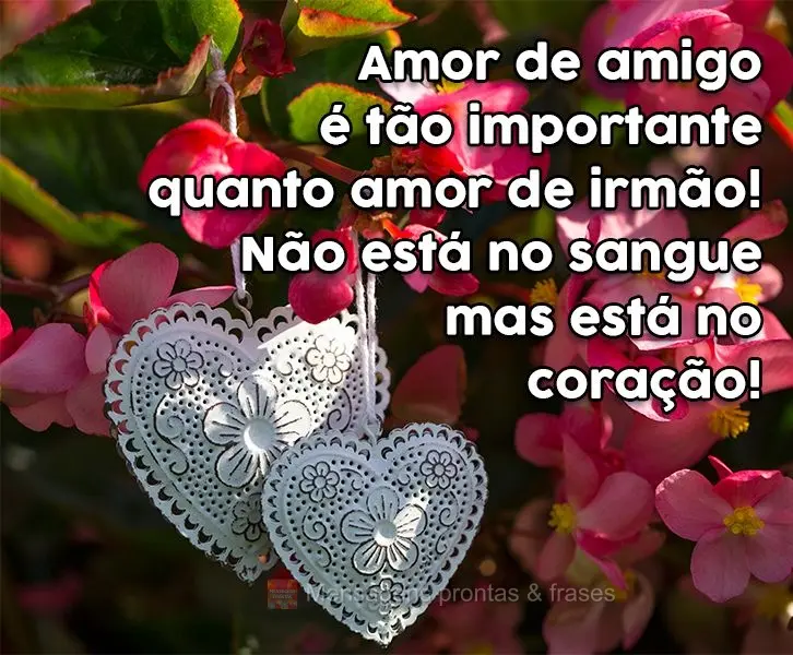 Amor de amigo é tão importante quanto amor de irmão! Não está no sangue mas está no coração!
