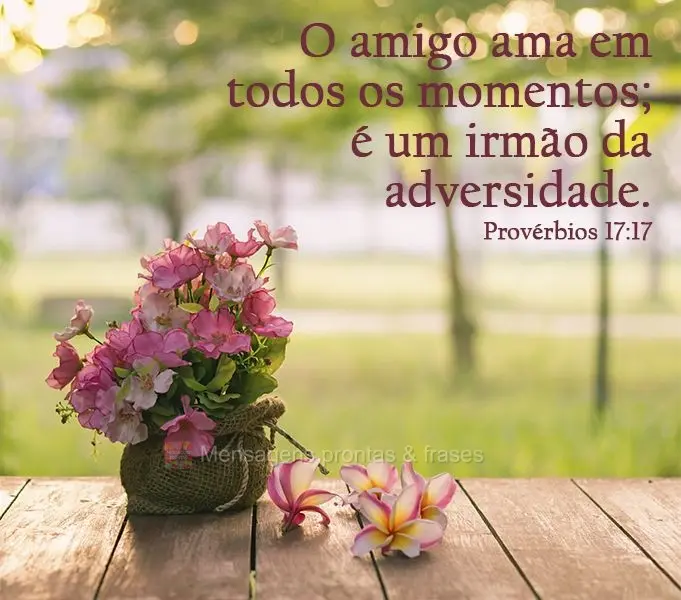 O amigo ama em todos os momentos; é um irmão na adversidade.
 Provérbios 17:17