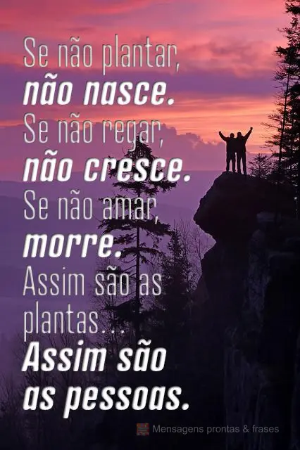 Se não plantar, não nasce. Se não regar, não cresce. Se não amar, morre.
Assim são as plantas… assim são as pessoas.
