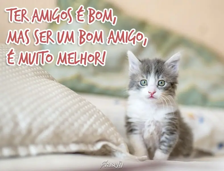 Ter amigos é bom, mas ser um bom amigo, é muito melhor!