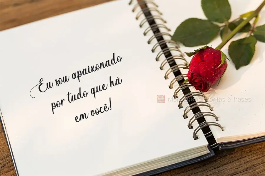 Eu sou apaixonado por tudo que há em você!
