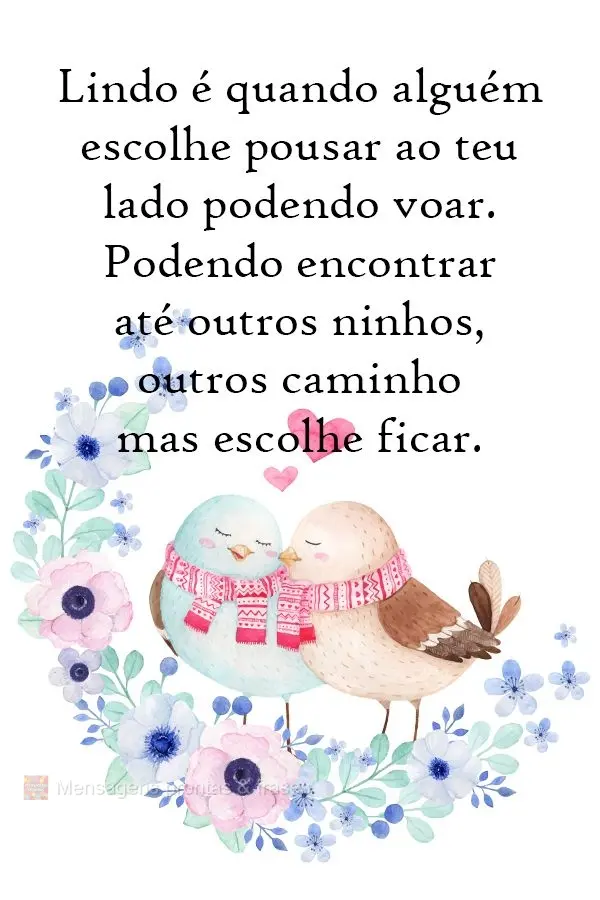 Lindo é quando alguém escolhe pousar ao teu lado mesmo podendo voar, podendo encontrar até outros ninhos, outros caminhos, mas escolhe ficar!
